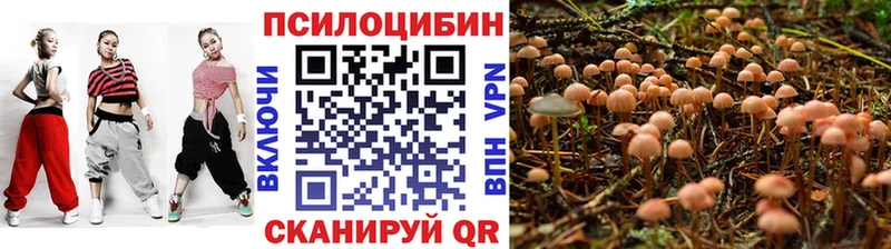 Псилоцибиновые грибы Psilocybe  цена наркотик  Оренбург 