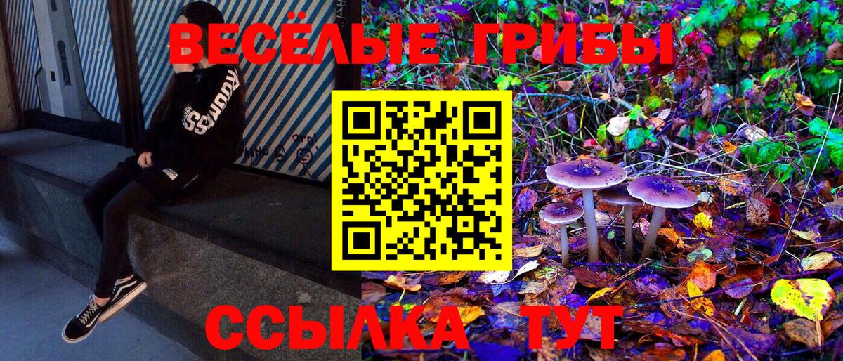 Псилоцибиновые грибы Psilocybe Оренбург