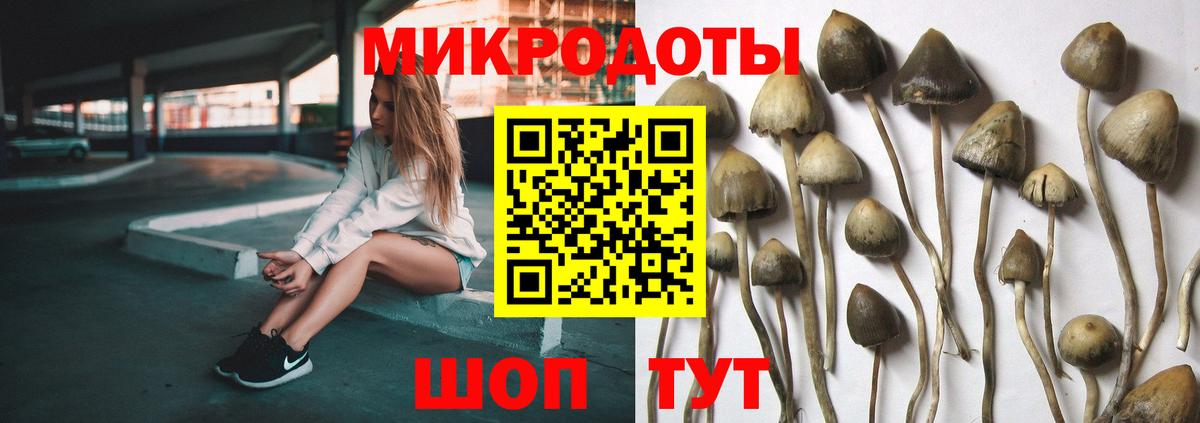 Псилоцибиновые грибы прущие грибы  Вход с VPN  Псилоцибиновые грибы Cubensis  Оренбург 